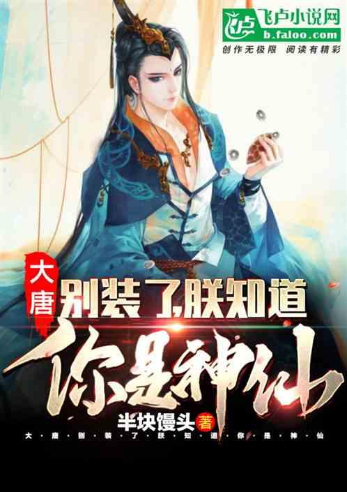 彼得比尔特379拼图